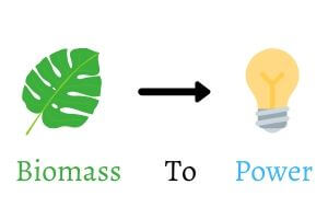 Biomass to Power (1)